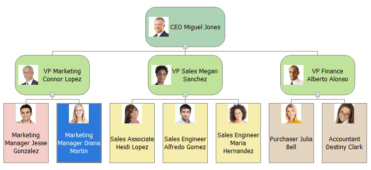 DevExpress VCL Org Chart 商品画像