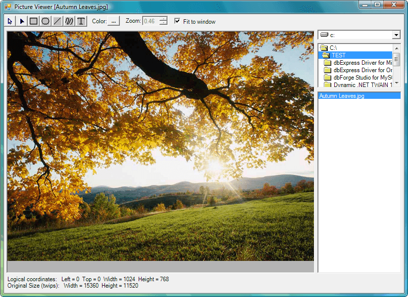 MetaDraw Winforms for .Net （英語版） 商品画像