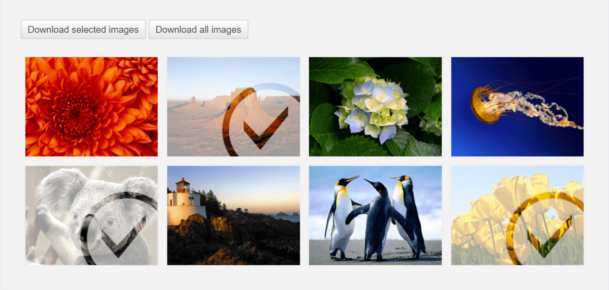 Telerik UI for ASP.NET AJAX Zip Library 商品画像 Telerik UI for ASP.NET AJAX Zip Library 商品画像