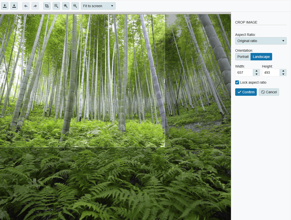 Telerik UI for ASP.NET Core Image Editor 商品画像 Telerik UI for ASP.NET Core Image Editor 商品画像