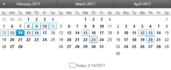 Infragistics Ultimate UI for WPF Calendar 商品画像 Infragistics Ultimate UI for WPF Calendar 商品画像