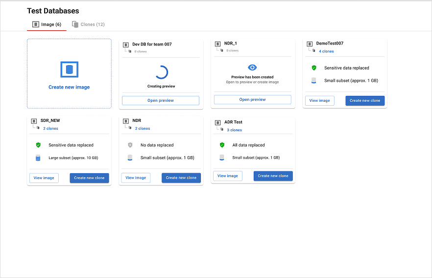 Redgate Test Data Manager 商品画像