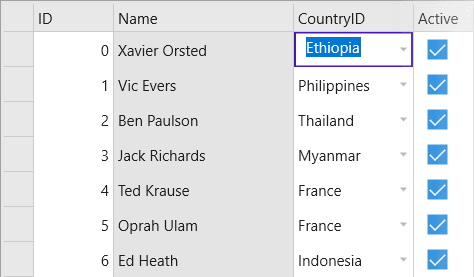 ComponentOne UWP Data Editors 商品画像 ComponentOne UWP Data Editors 商品画像
