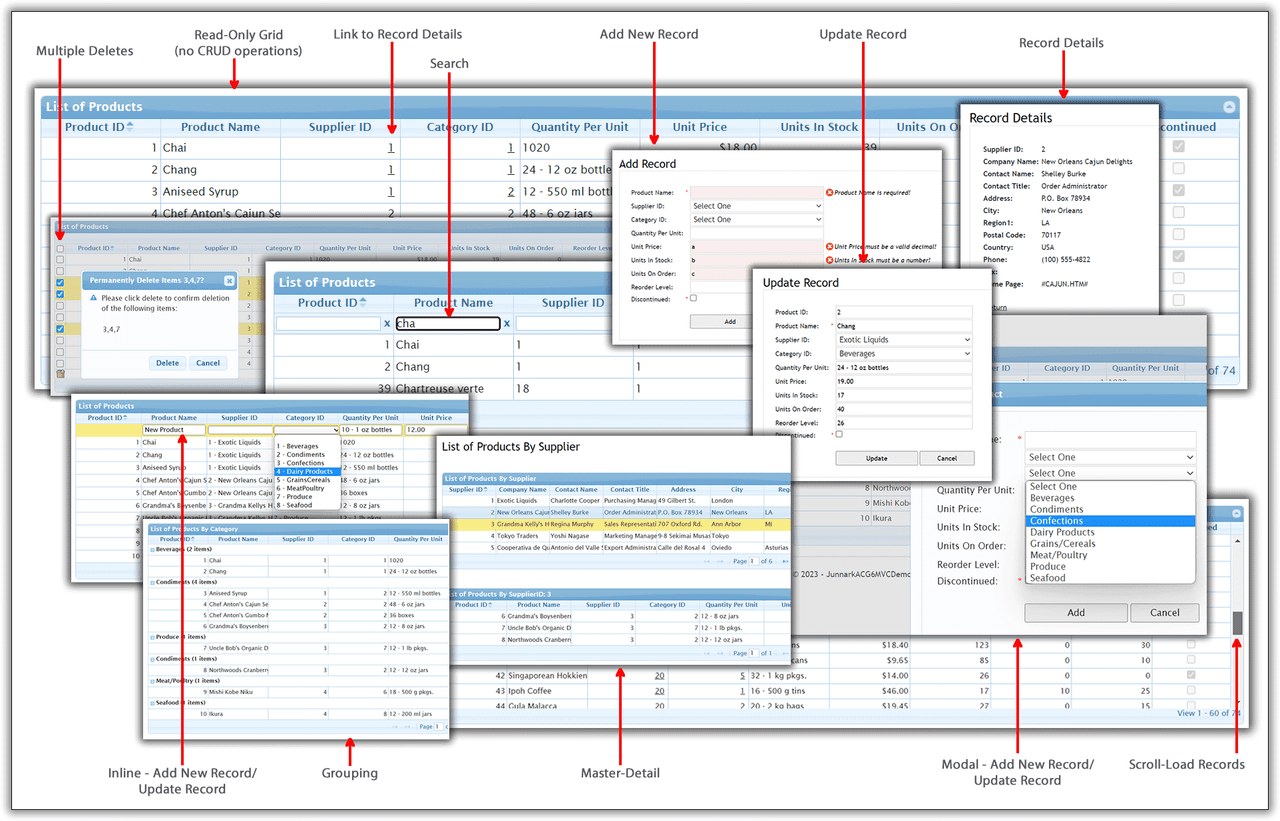 AspCoreGen 6.0 MVC（英語版） 商品画像