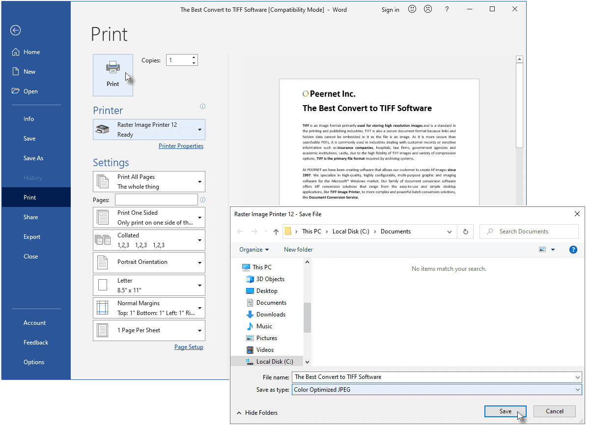 Raster Image Printer（英語版） 商品画像