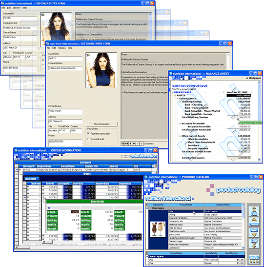 ComponentOne ActiveX UI Layout Controls 商品画像