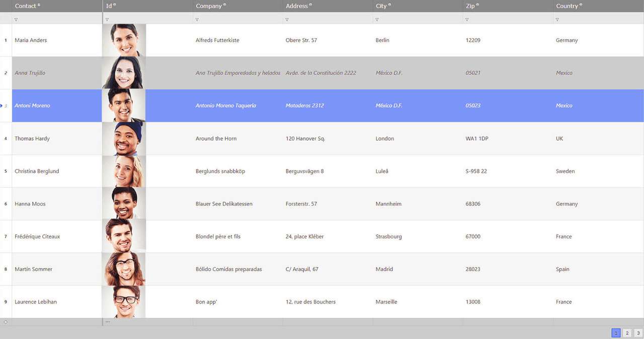 Infragistics Ultimate UI for ASP.NET Web Forms Data Grid 商品画像 Infragistics Ultimate UI for ASP.NET Web Forms Data Grid 商品画像