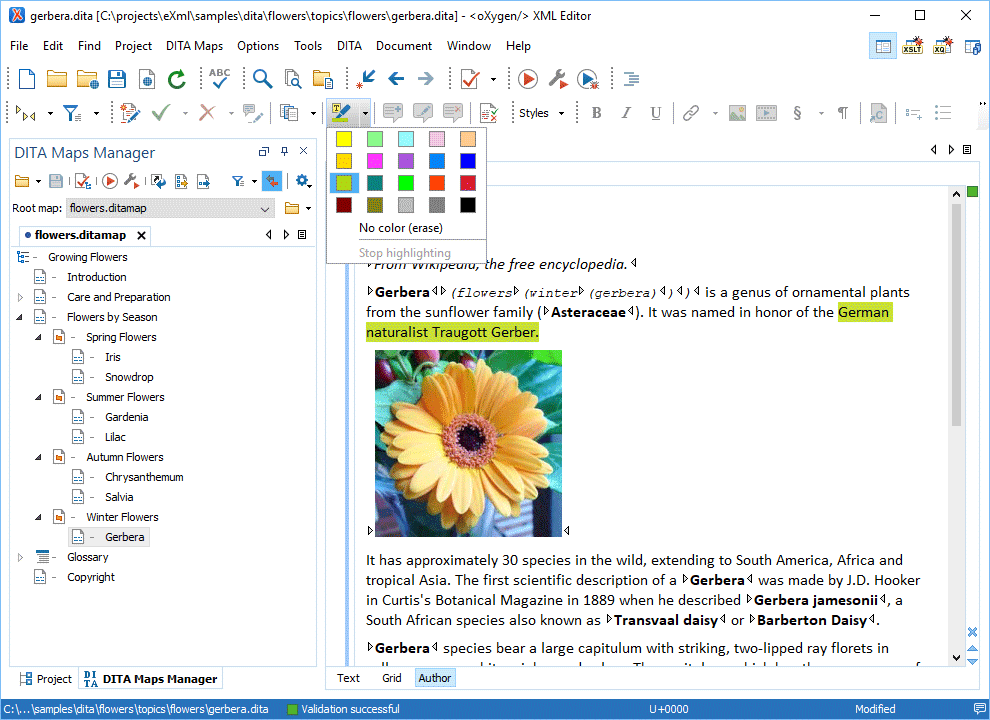 Oxygen XML Author