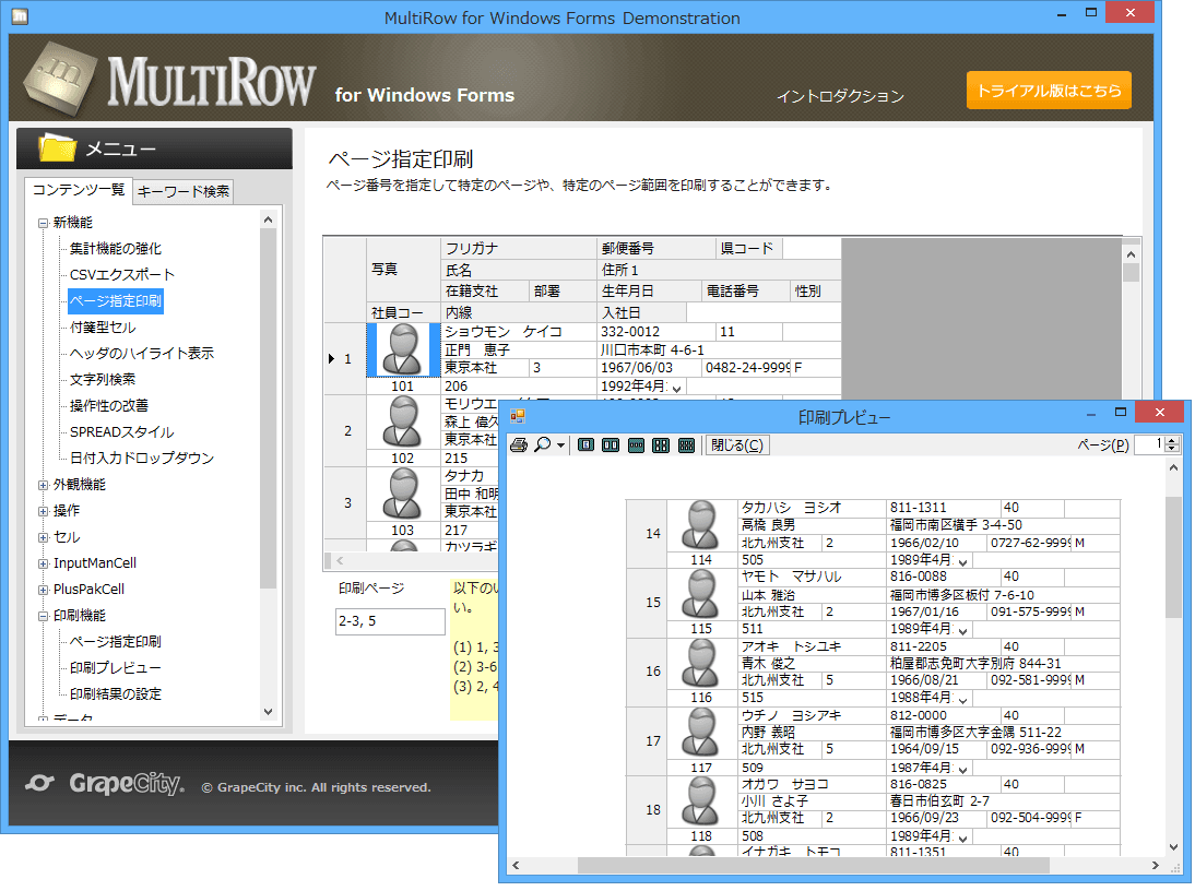 CSV形式でグリッドのデータを出力できます。また、「3−5ページ」や「1、3、5ページ」などのように指定したページだけを印刷することができます。