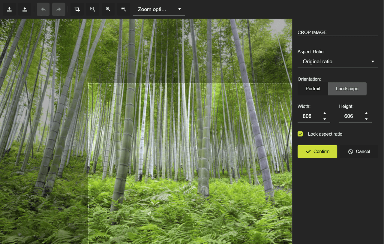 Kendo UI jQuery Image Editor 商品画像 Kendo UI jQuery Image Editor 商品画像