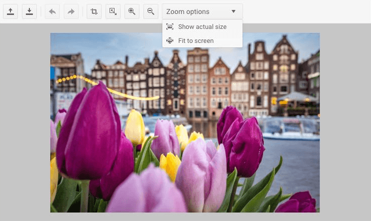 Telerik UI for ASP.NET MVC Image Editor 商品画像 Telerik UI for ASP.NET MVC Image Editor 商品画像