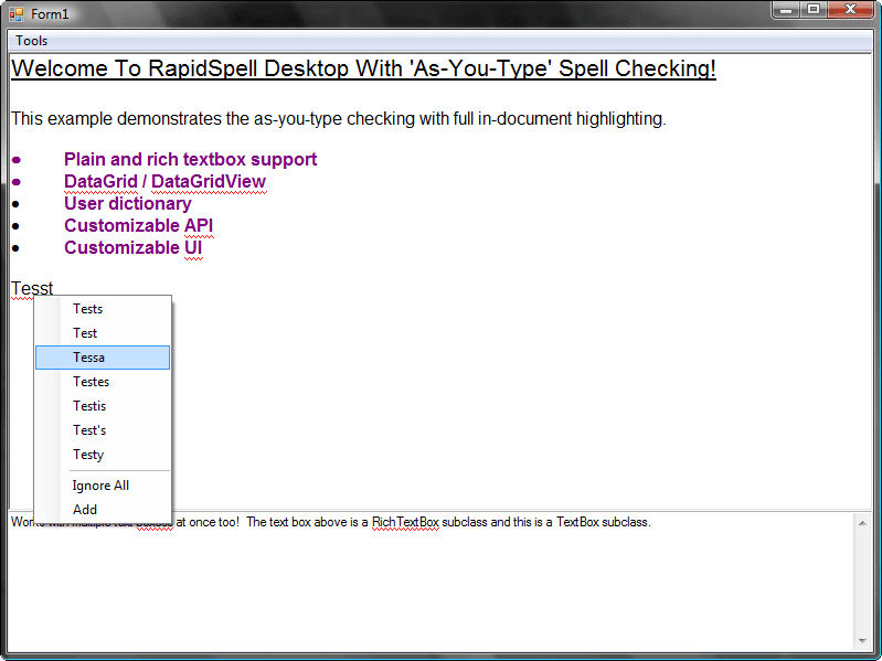 RapidSpell Thesaurus Desktop .NET（英語版） 商品画像