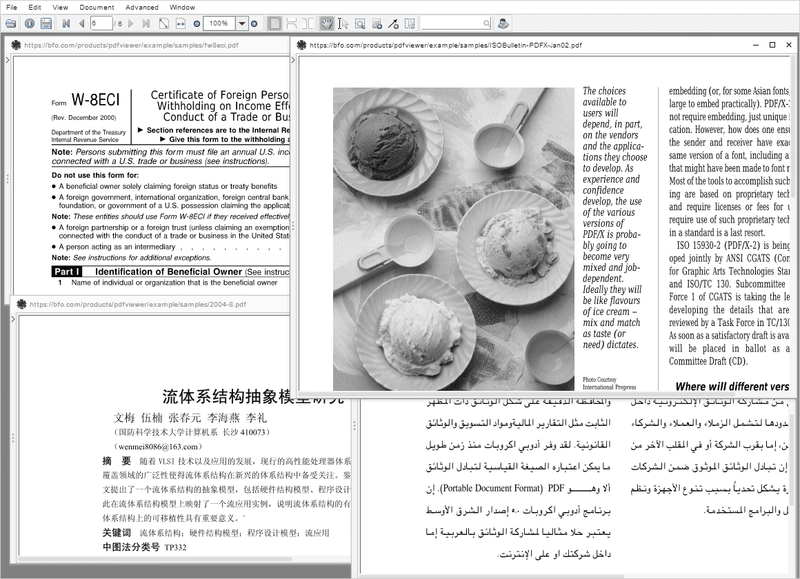 Big Faceless PDF Library（英語版） 商品画像