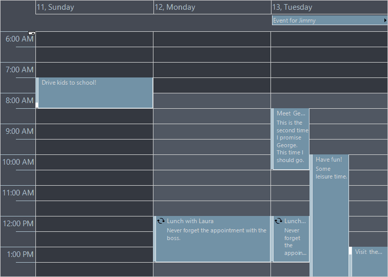 MindFusion.Scheduling for Java Swing（英語版） 商品画像