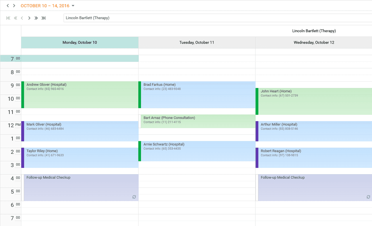 DevExpress ASP.NET Core Calendar 商品画像 DevExpress ASP.NET Core Calendar 商品画像