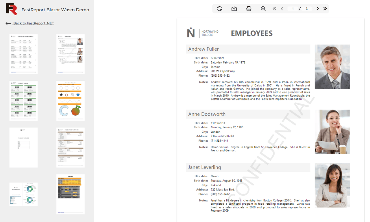 FastReport .NET WEB（英語版） 商品画像
