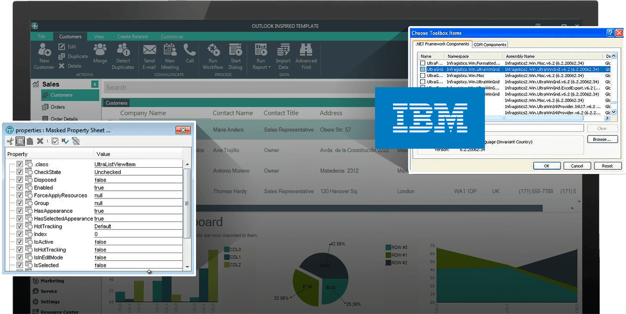 Infragistics Windows Forms Test Automation for IBM（英語版） 商品画像