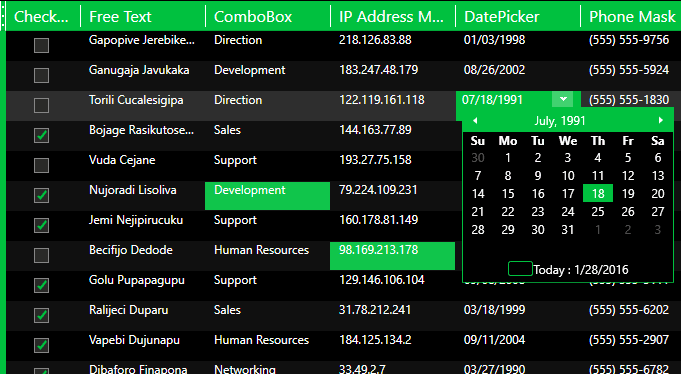 Xceed DataGrid for WPF （英語版） 商品画像