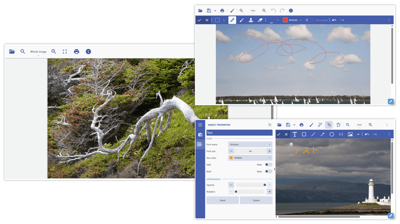 DioDocs for Imaging（日本語版）
