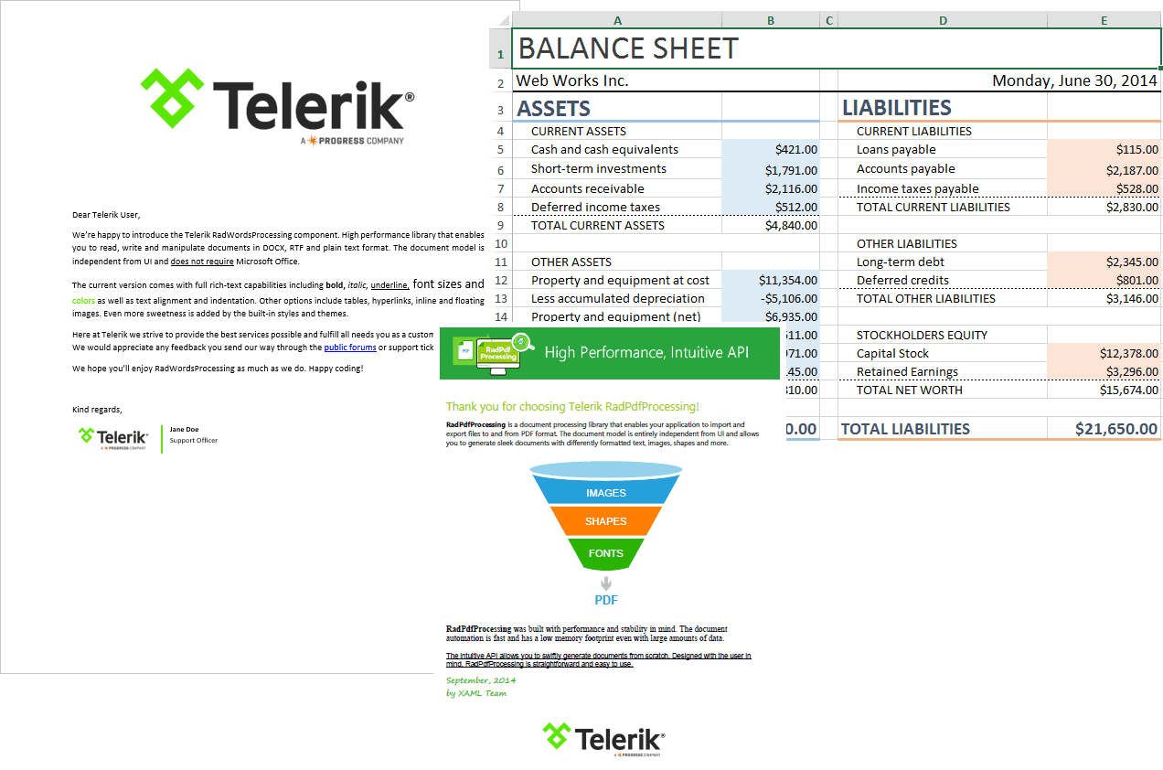 Telerik Document Processing Libraries（英語版） 商品画像