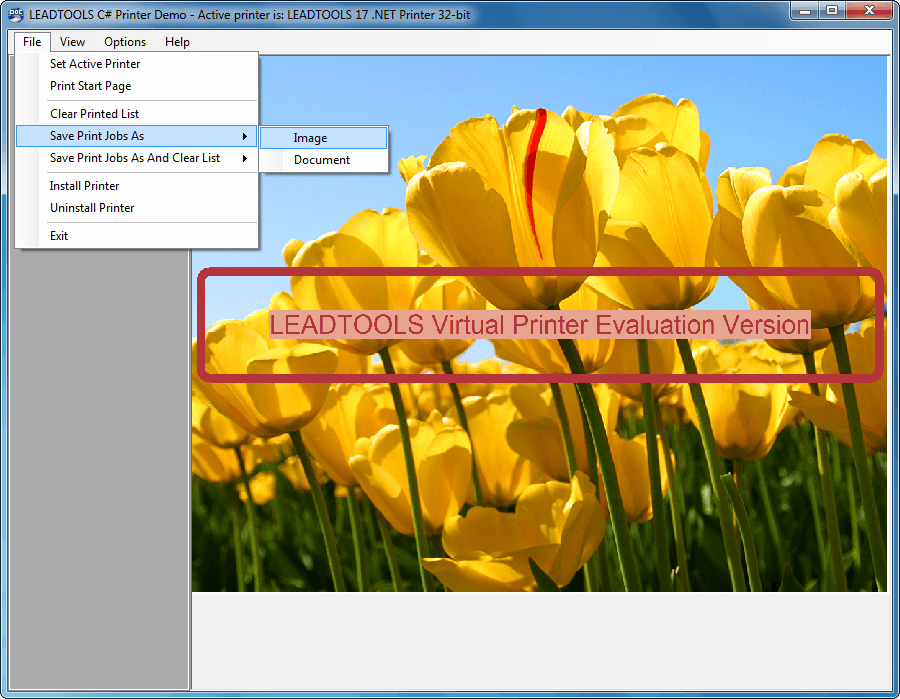 Virtual Printer SDK Module は利用可能になりました