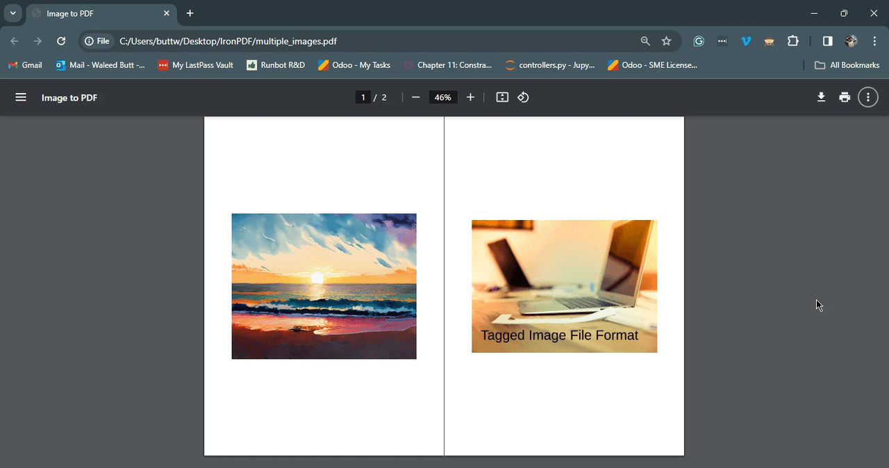 IronPDF for Java（英語版） 商品画像