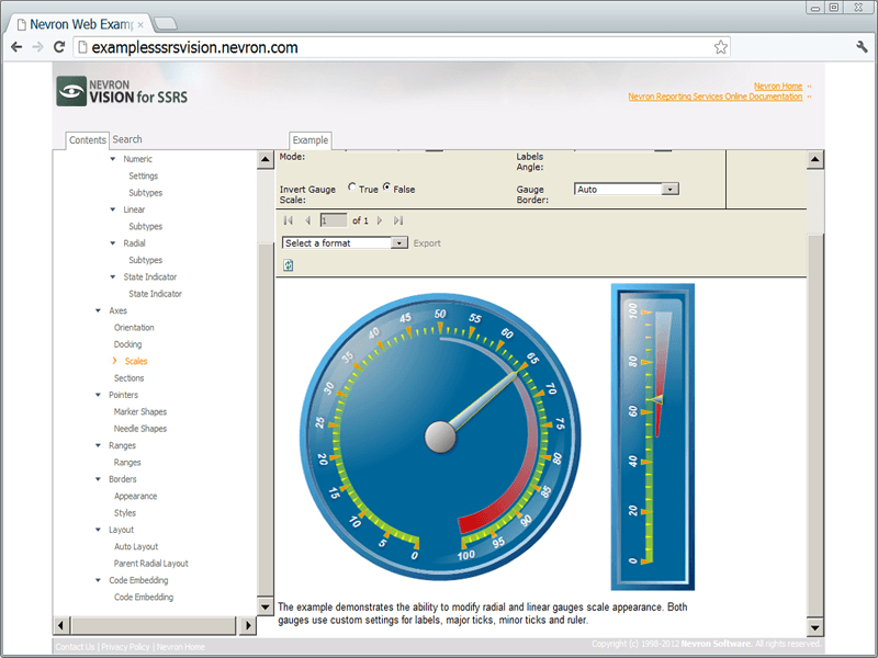 Nevron Gauge for SSRS（英語版） 商品画像