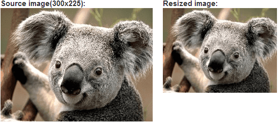 ComponentOne ASP.NET Web Forms BinaryImage 商品画像