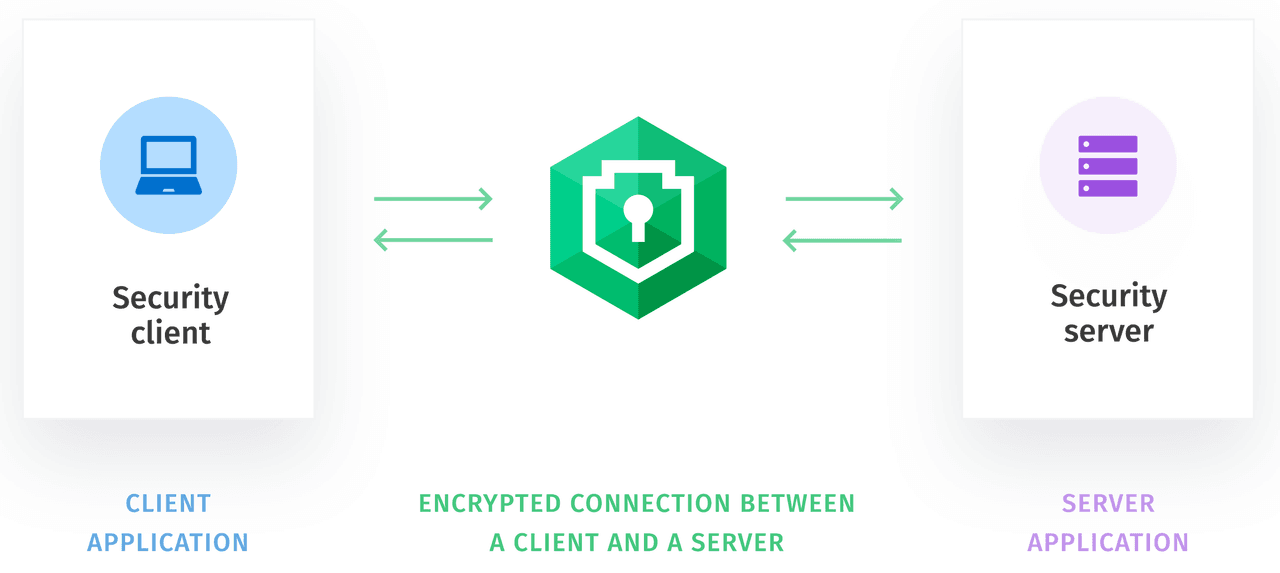 SecureBridge （英語版） 商品画像