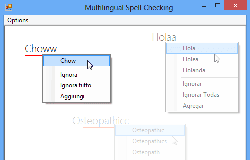 RapidSpell WPF（英語版） 商品画像
