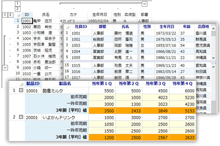 リレーショナルデータを自動的に階層形式で表示できる機能を備えます。また、データのリストをグループ化して取りまとめることができます。各グループの折り畳みや展開が可能なアウトライン機能のほか、ユーザーが列ヘッダをシート上部にドラッグ＆ドロップして、データをグループ化することにも対応します。そのほか、画面の個別スクロールが可能な複数のビューポートに分割するなど自由度の高い「表」を実現できます