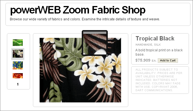PowerWEB Zoom for ASP.NET （英語版） 商品画像