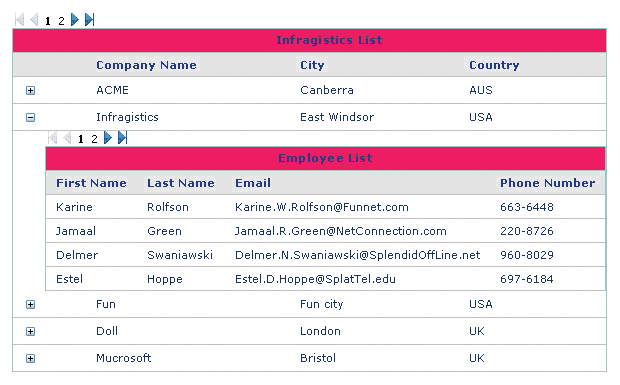 Infragistics NetAdvantage for JSF（英語版） 商品画像