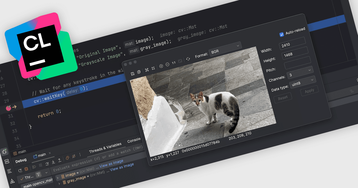 OpenCV画像ビューアでデータを視覚化