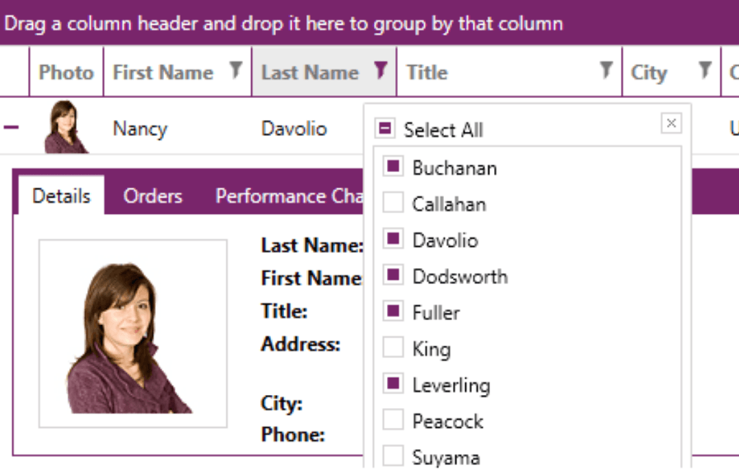 Telerik UI for WPF UI Selection Controls 商品画像 Telerik UI for WPF UI Selection Controls 商品画像