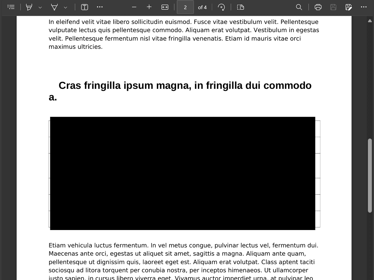 IronSecureDoc（英語版） 商品画像