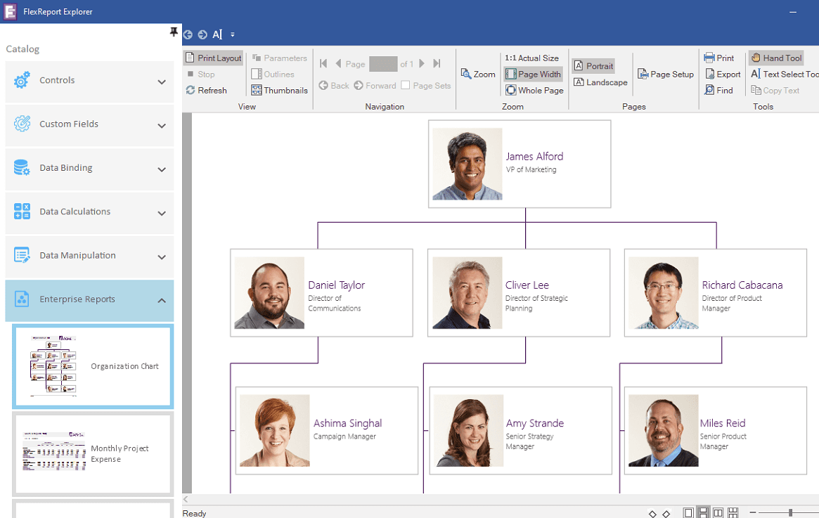 ComponentOne WinForms FlexReport 商品画像 ComponentOne WinForms FlexReport 商品画像