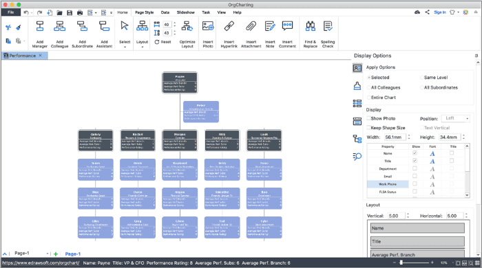 Edraw OrgCharting 商品画像