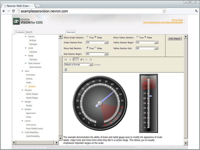 Nevron Gauge for SSRS（英語版） 商品画像
