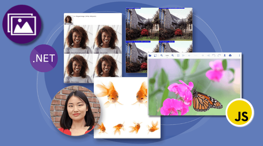 Document Solutions for Imaging .NET（英語版） 商品画像
