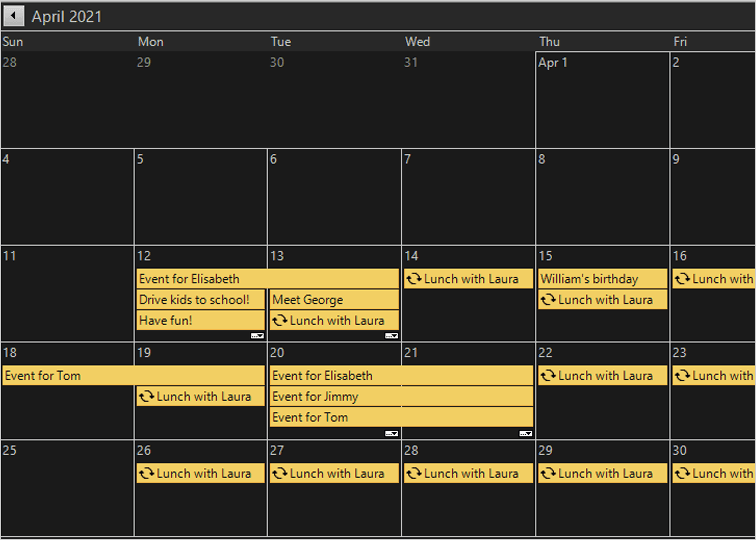 MindFusion.Scheduling for Java Swing（英語版） 商品画像