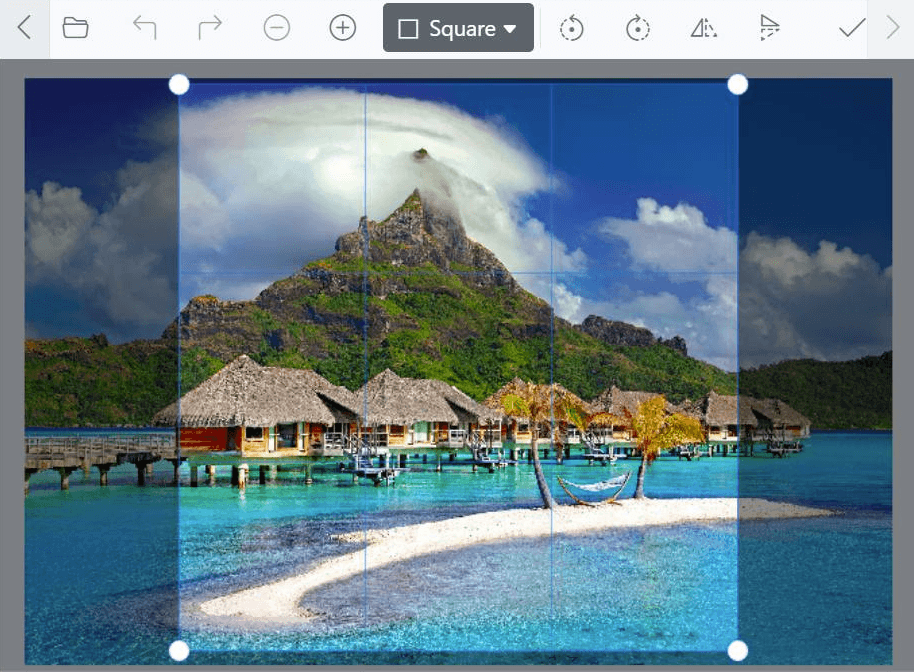 Syncfusion Angular Image Editor 商品画像