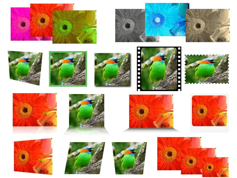 Neodynamic ImageDraw for ASP.NET （英語版） 商品画像