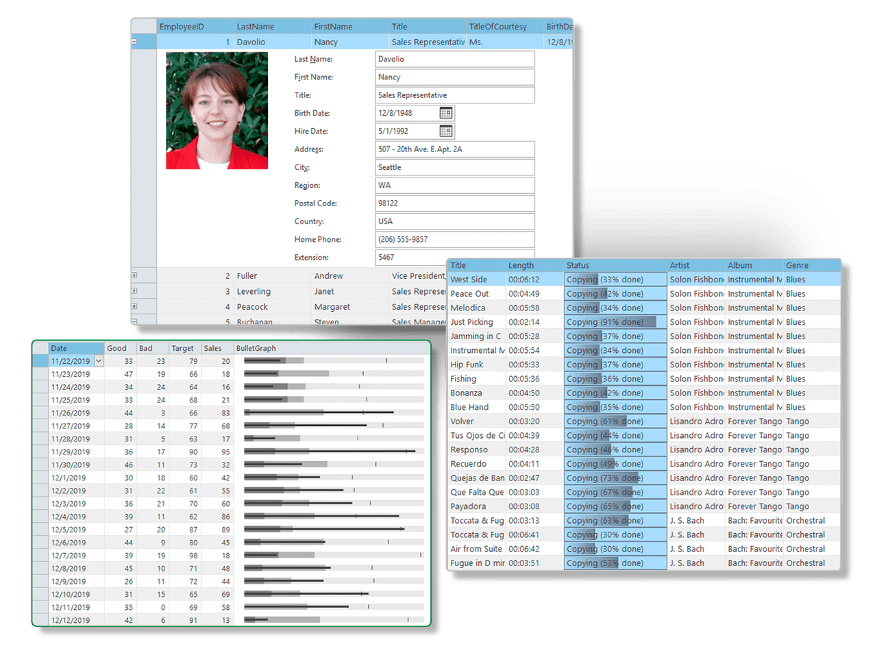 ComponentOne Studio WinForms Data Services Edition 商品画像