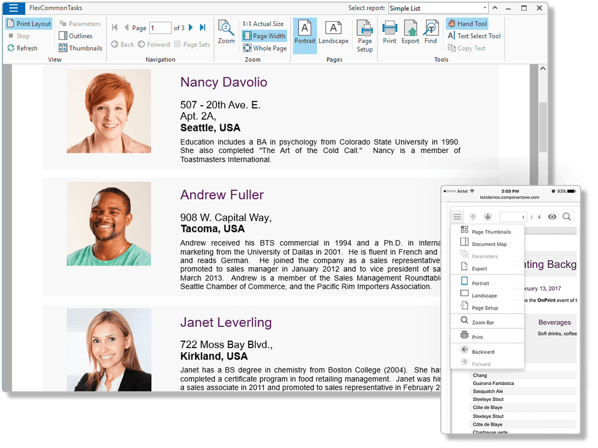 ComponentOne Studio ASP.NET MVC（英語版） 商品画像