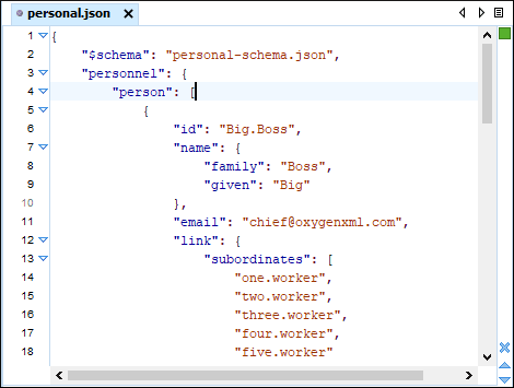Oxygen JSON Editor（英語版） 商品画像