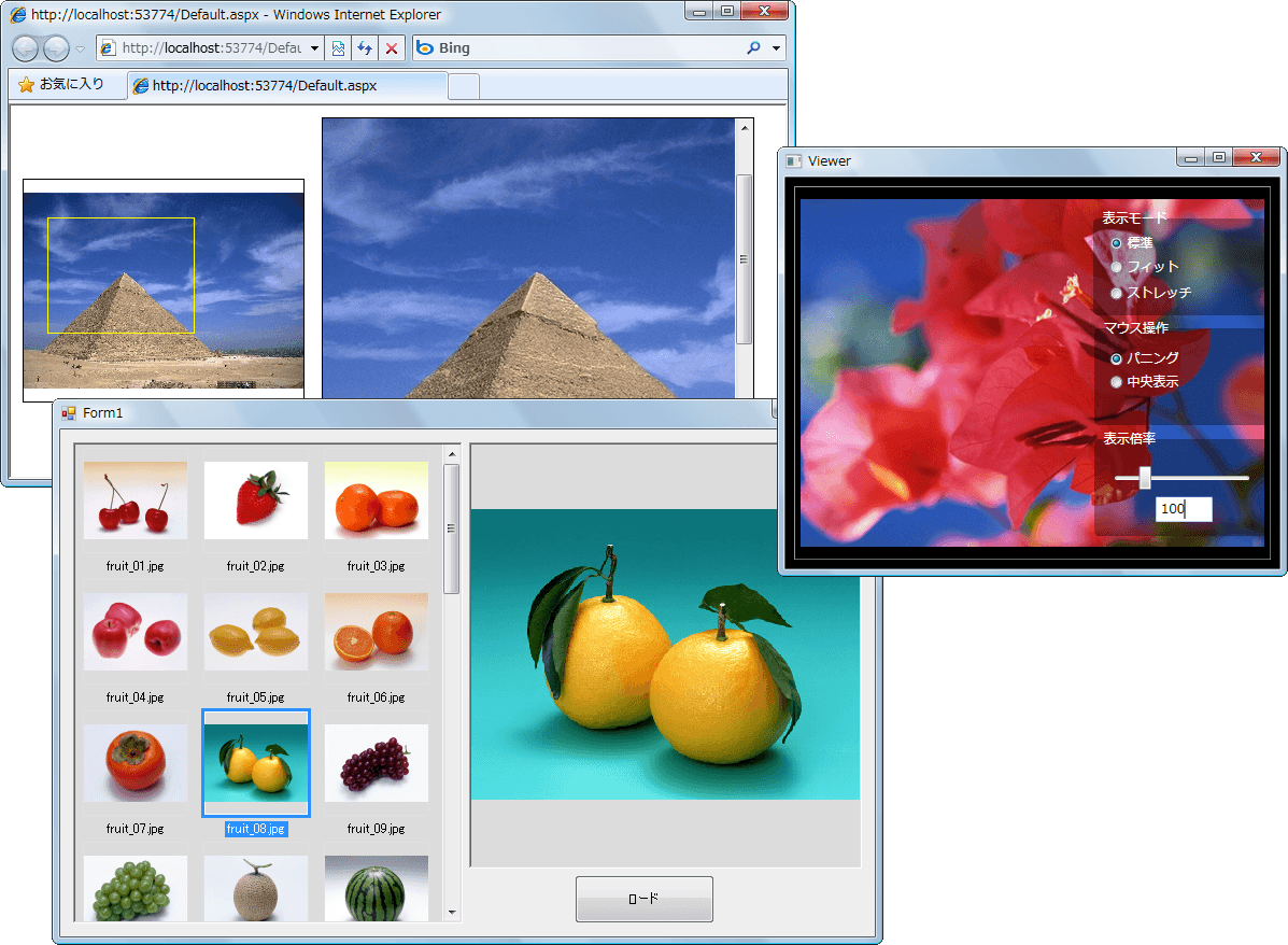 LEADTOOLS Imaging Pro（日本語版）