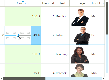 Telerik UI for WinForms Data Editors 商品画像 Telerik UI for WinForms Data Editors 商品画像