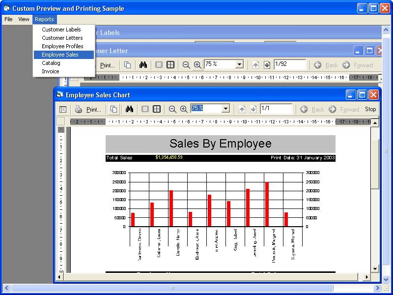 ActiveReports 2 for ActiveX/COM（英語版） 商品画像