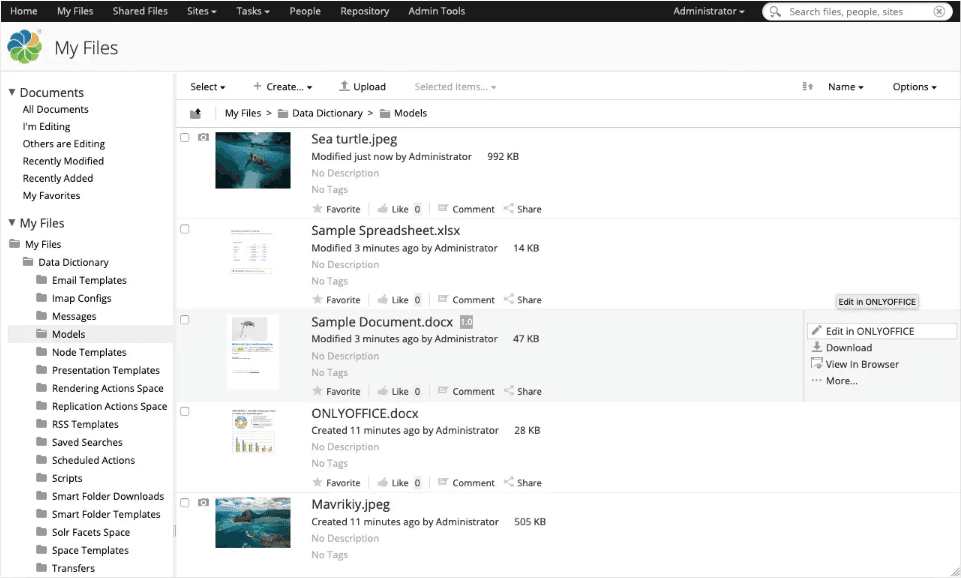 ONLYOFFICE Docs Enterprise Edition 商品画像